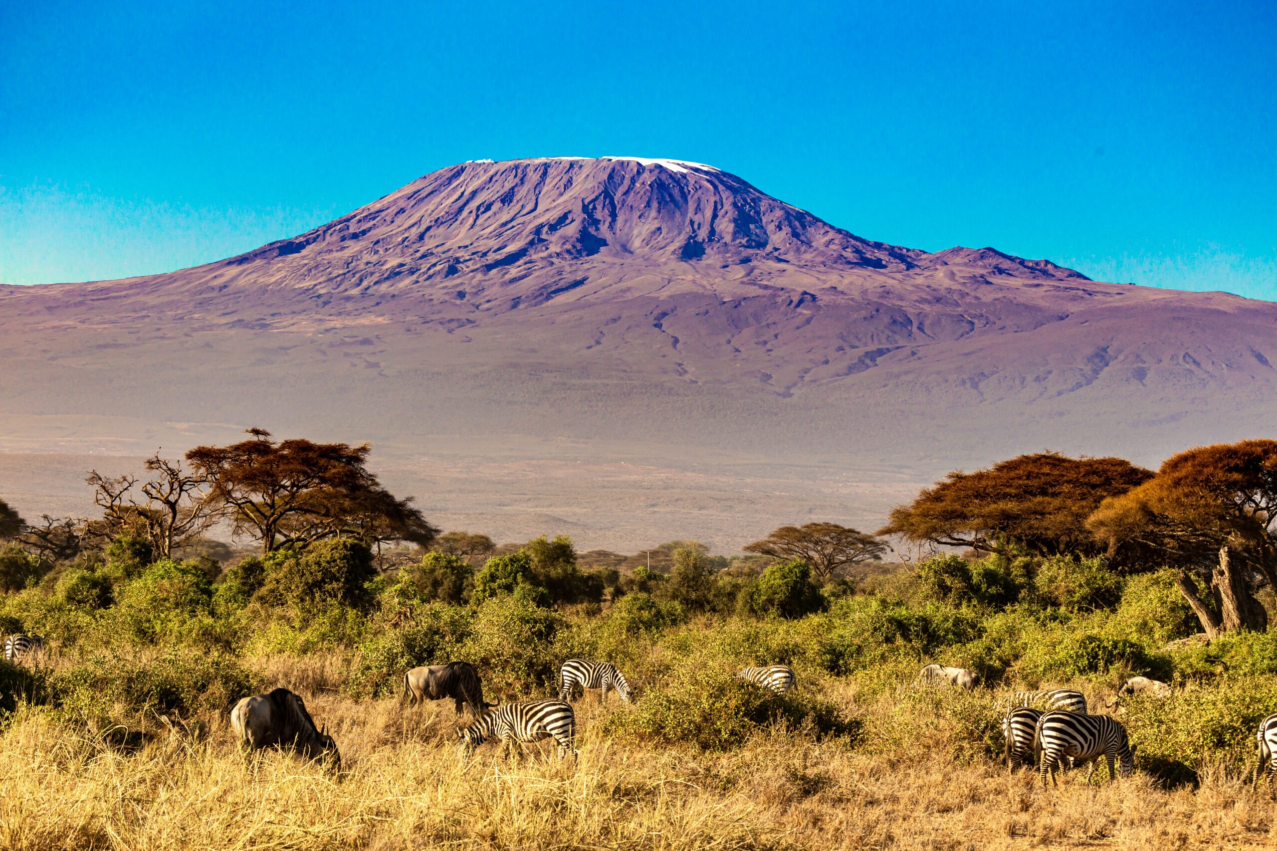 Der Kilimandscharo liegt im Nordosten Tansanias.